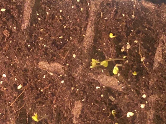 Purpose in the&nbsp;Darkness